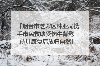烟台市芝罘区林业局携手市民救助受伤牛背鹭 待其康复后放归自然