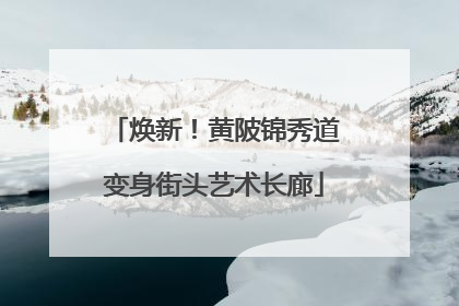 焕新！黄陂锦秀道变身街头艺术长廊