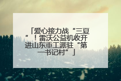 爱心接力战“三夏”！雷沃公益机收开进山东重工派驻“第一书记村”
