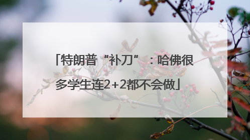 特朗普“补刀”：哈佛很多学生连2+2都不会做