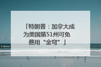特朗普：加拿大成为美国第51州可免费用“金穹”