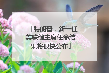 特朗普：新一任美联储主席任命结果将很快公布