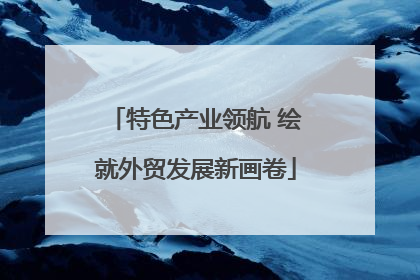 特色产业领航 绘就外贸发展新画卷