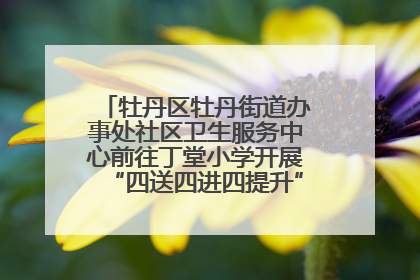牡丹区牡丹街道办事处社区卫生服务中心前往丁堂小学开展“四送四进四提升”及无烟日宣传活动