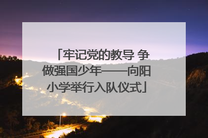 牢记党的教导 争做强国少年——向阳小学举行入队仪式