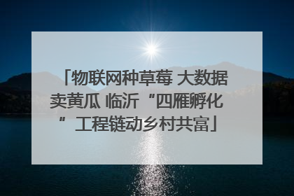 物联网种草莓 大数据卖黄瓜 临沂“四雁孵化”工程链动乡村共富