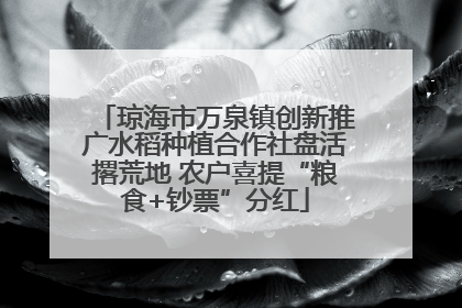 琼海市万泉镇创新推广水稻种植合作社盘活撂荒地 农户喜提“粮食+钞票”分红