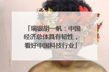 瑞银胡一帆：中国经济总体具有韧性，看好中国科技行业