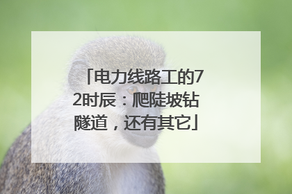 电力线路工的72时辰：爬陡坡钻隧道，还有其它