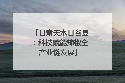 甘肃天水甘谷县：科技赋能辣椒全产业链发展