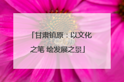 甘肃镇原：以文化之笔 绘发展之景