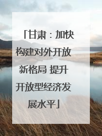 甘肃：加快构建对外开放新格局 提升开放型经济发展水平