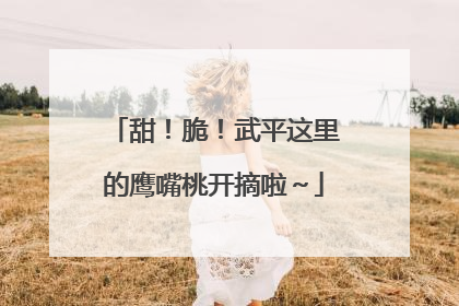 甜！脆！武平这里的鹰嘴桃开摘啦～