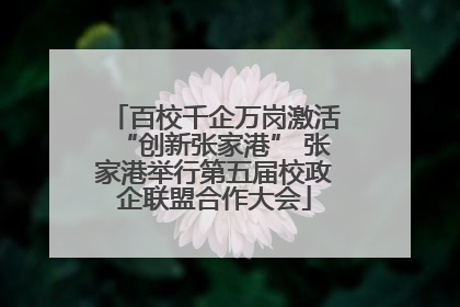 百校千企万岗激活“创新张家港” 张家港举行第五届校政企联盟合作大会
