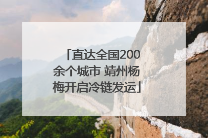 直达全国200余个城市 靖州杨梅开启冷链发运