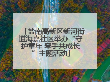盐南高新区新河街道海嘉社区举办“守护童年 牵手共成长”主题活动