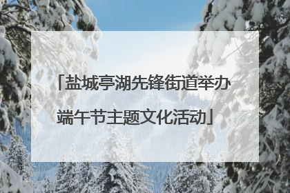 盐城亭湖先锋街道举办端午节主题文化活动