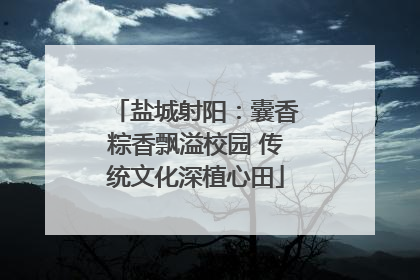 盐城射阳：囊香粽香飘溢校园 传统文化深植心田