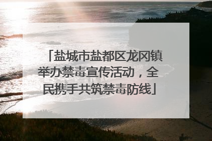 盐城市盐都区龙冈镇举办禁毒宣传活动，全民携手共筑禁毒防线