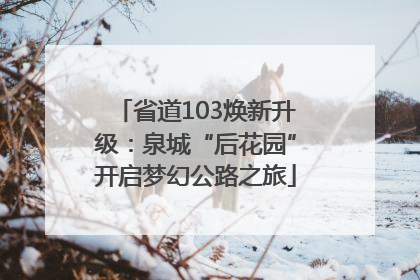 省道103焕新升级：泉城“后花园”开启梦幻公路之旅