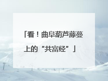 看！曲阜葫芦藤蔓上的“共富经”
