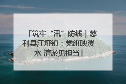 筑牢“汛”防线｜慈利县江垭镇：党旗映溇水 清淤见担当