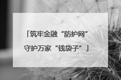 筑牢金融“防护网” 守护万家“钱袋子”