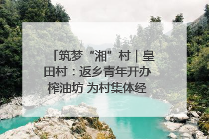 筑梦“湘”村｜皇田村：返乡青年开办榨油坊 为村集体经济“加油”