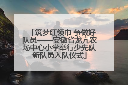 筑梦红领巾 争做好队员——安徽省龙亢农场中心小学举行少先队新队员入队仪式