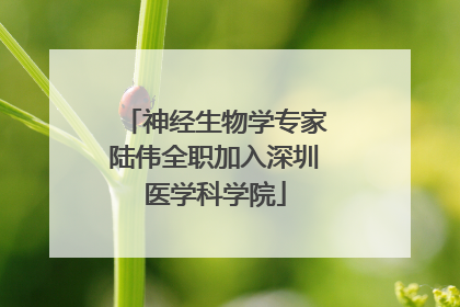 神经生物学专家陆伟全职加入深圳医学科学院