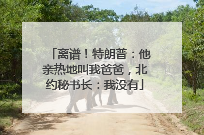 离谱！特朗普：他亲热地叫我爸爸，北约秘书长：我没有