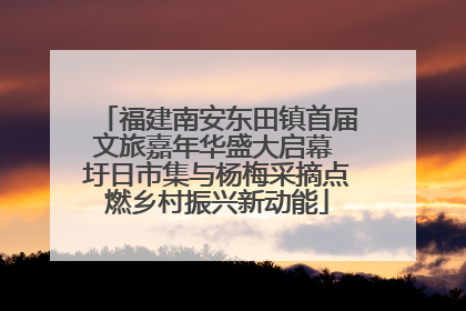 福建南安东田镇首届文旅嘉年华盛大启幕 圩日市集与杨梅采摘点燃乡村振兴新动能