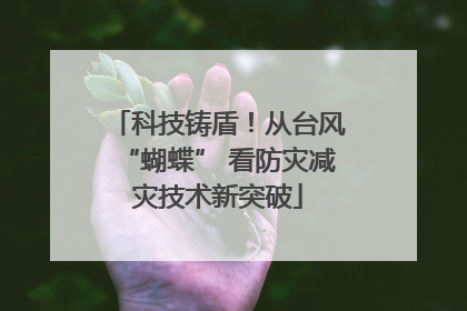 科技铸盾！从台风“蝴蝶” 看防灾减灾技术新突破