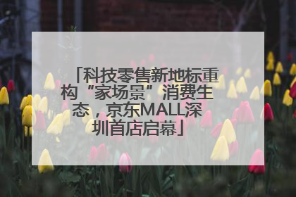 科技零售新地标重构“家场景”消费生态，京东MALL深圳首店启幕