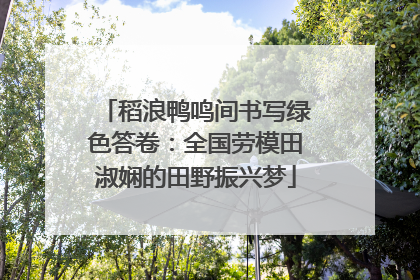 稻浪鸭鸣间书写绿色答卷：全国劳模田淑娴的田野振兴梦