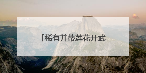 稀有并蒂莲花开武汉，今夏全城28处公园点位可赏荷