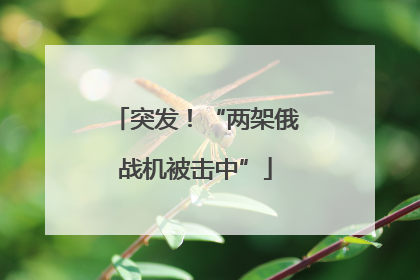 突发！“两架俄战机被击中”