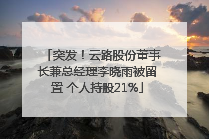 突发！云路股份董事长兼总经理李晓雨被留置 个人持股21%
