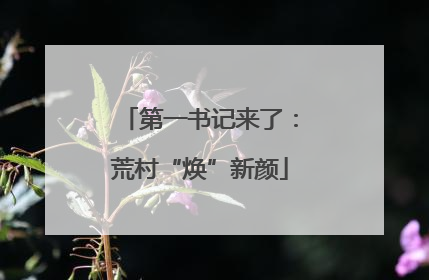 第一书记来了：荒村“焕”新颜