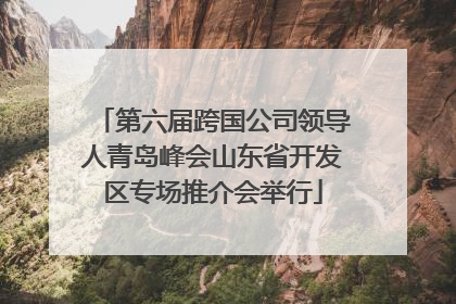第六届跨国公司领导人青岛峰会山东省开发区专场推介会举行