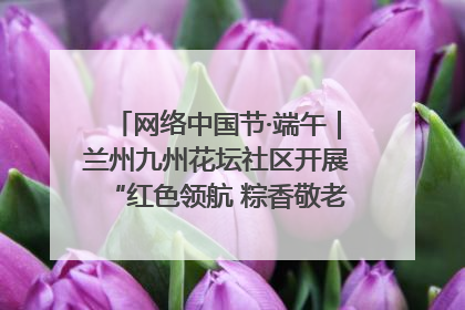 网络中国节·端午｜兰州九州花坛社区开展“红色领航 粽香敬老”端午主题活动