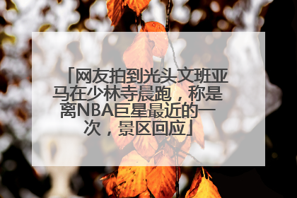 网友拍到光头文班亚马在少林寺晨跑，称是离NBA巨星最近的一次，景区回应