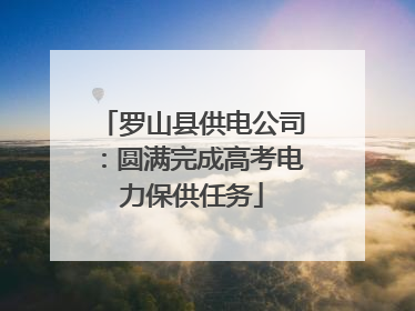 罗山县供电公司：圆满完成高考电力保供任务