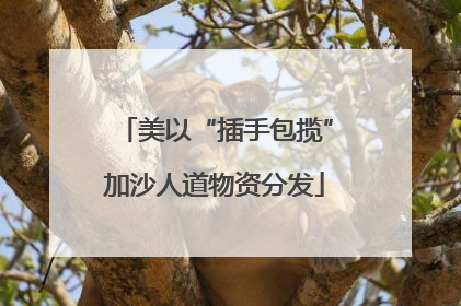 美以“插手包揽”加沙人道物资分发