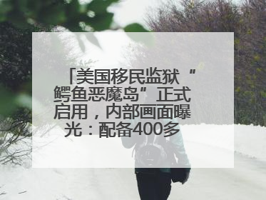 美国移民监狱“鳄鱼恶魔岛”正式启用，内部画面曝光：配备400多名安保人员，上下铺床位被罩在铁丝网里