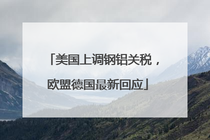 美国上调钢铝关税，欧盟德国最新回应