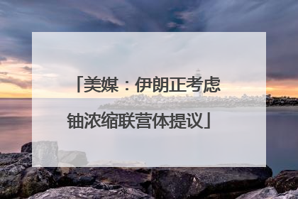 美媒：伊朗正考虑铀浓缩联营体提议
