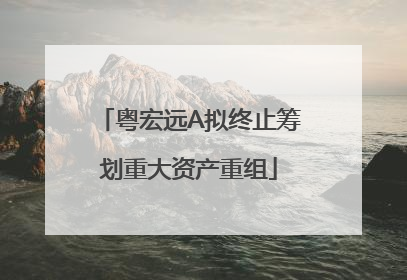 粤宏远A拟终止筹划重大资产重组
