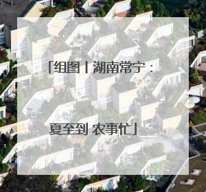 组图丨湖南常宁：夏至到 农事忙