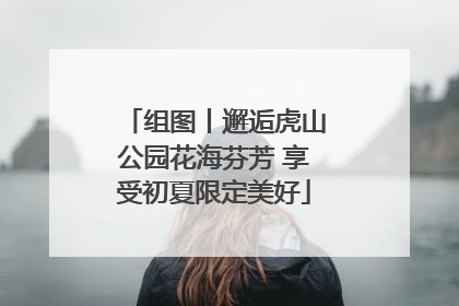 组图丨邂逅虎山公园花海芬芳 享受初夏限定美好